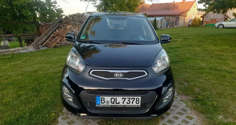 Kia Picanto cena 18800 przebieg: 125400, rok produkcji 2011 z Pińczów małe 172